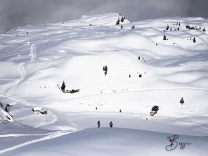 1764089680_tmp_P3071747WM