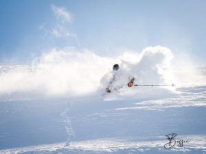 1764089681_tmp_P3071811WM