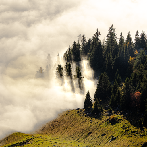 Inversion Layer Brunni